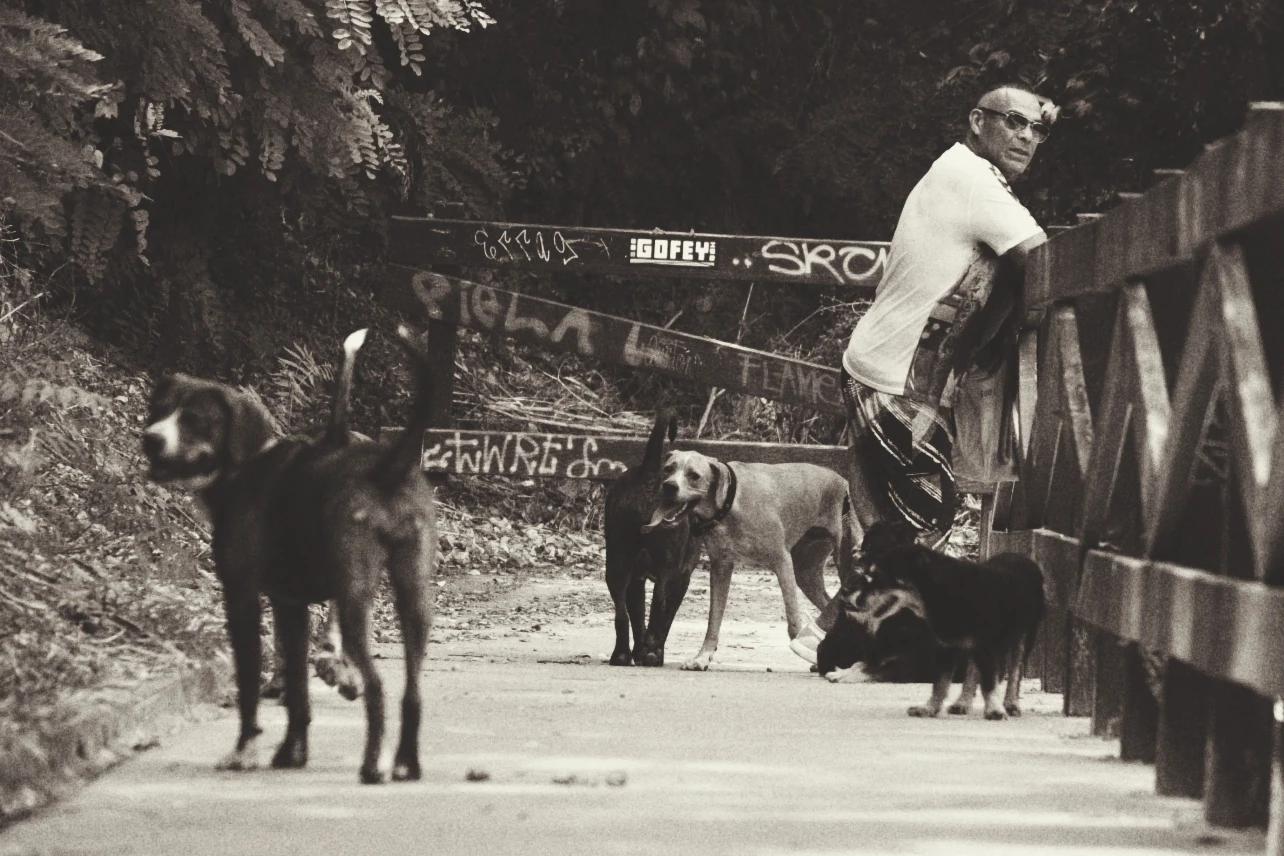 Man with his dogs in Barcelona, Spain